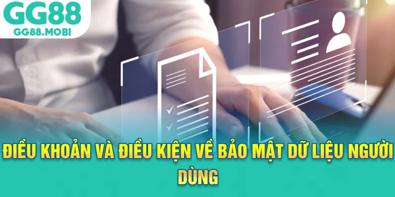 Điều khoản và điều kiện về bảo mật dữ liệu người dùng